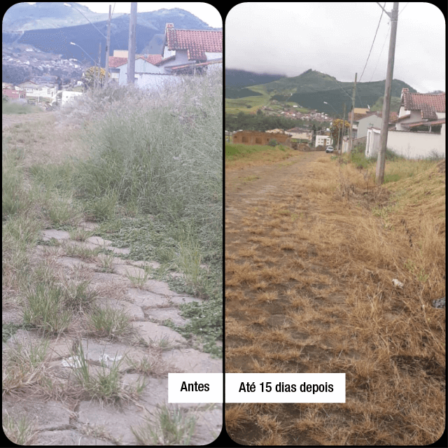 Minas Capina Rural 17 novos AD 04 1
