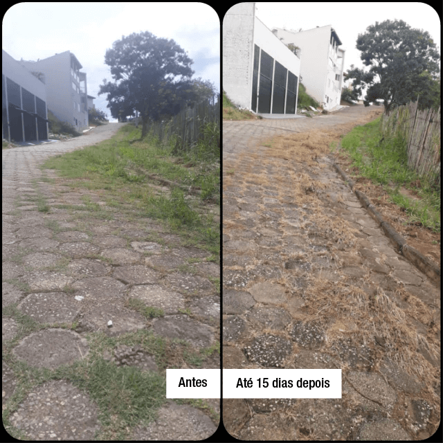 Minas Capina Rural 19 novos AD 06 1