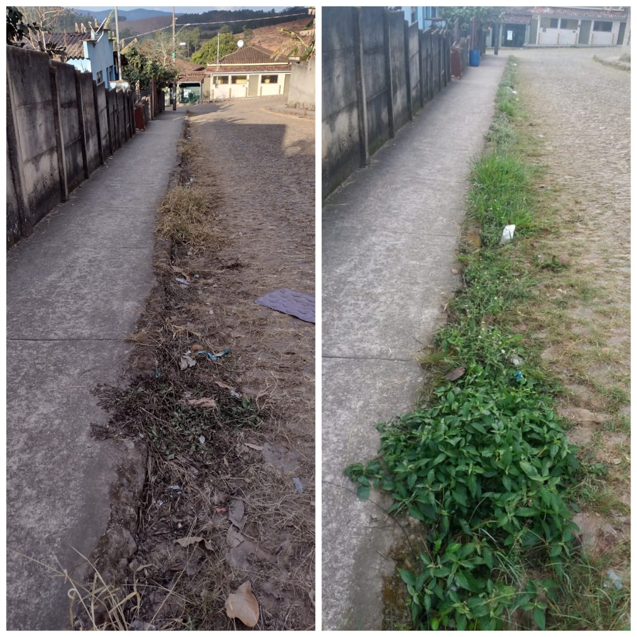 Minas Capina Urbana 5 Catas Altas/MG - Julho 2021 (Jardins Serviços)