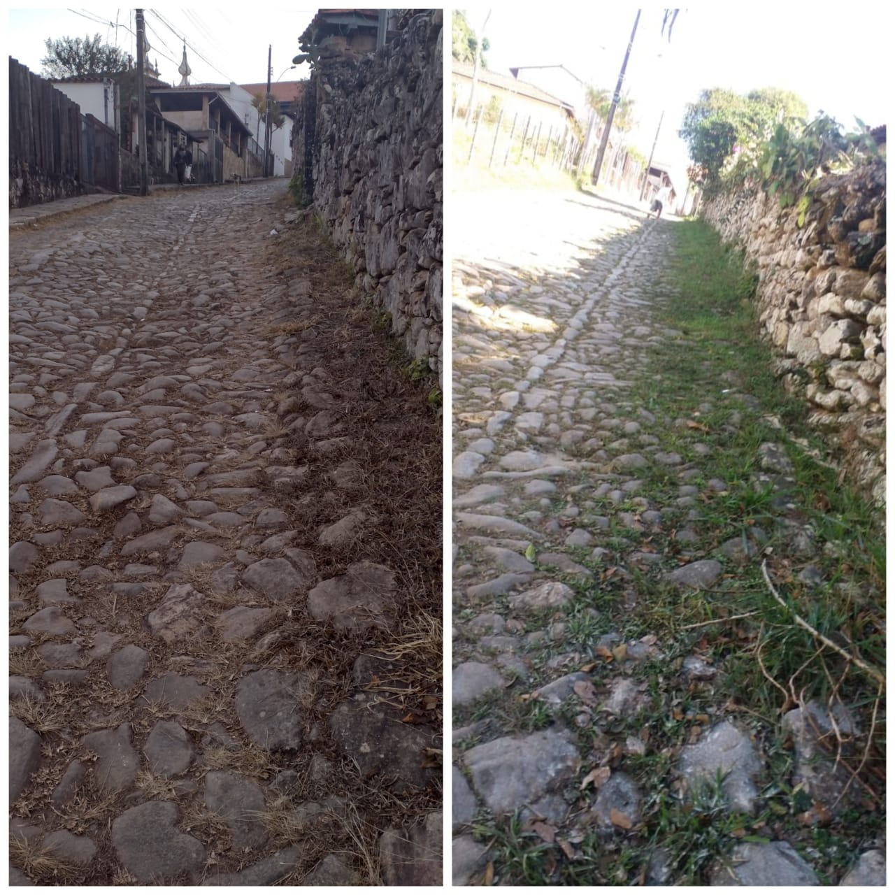 Minas Capina Urbana 6 Catas Altas/MG - Julho 2021 (Jardins Serviços)