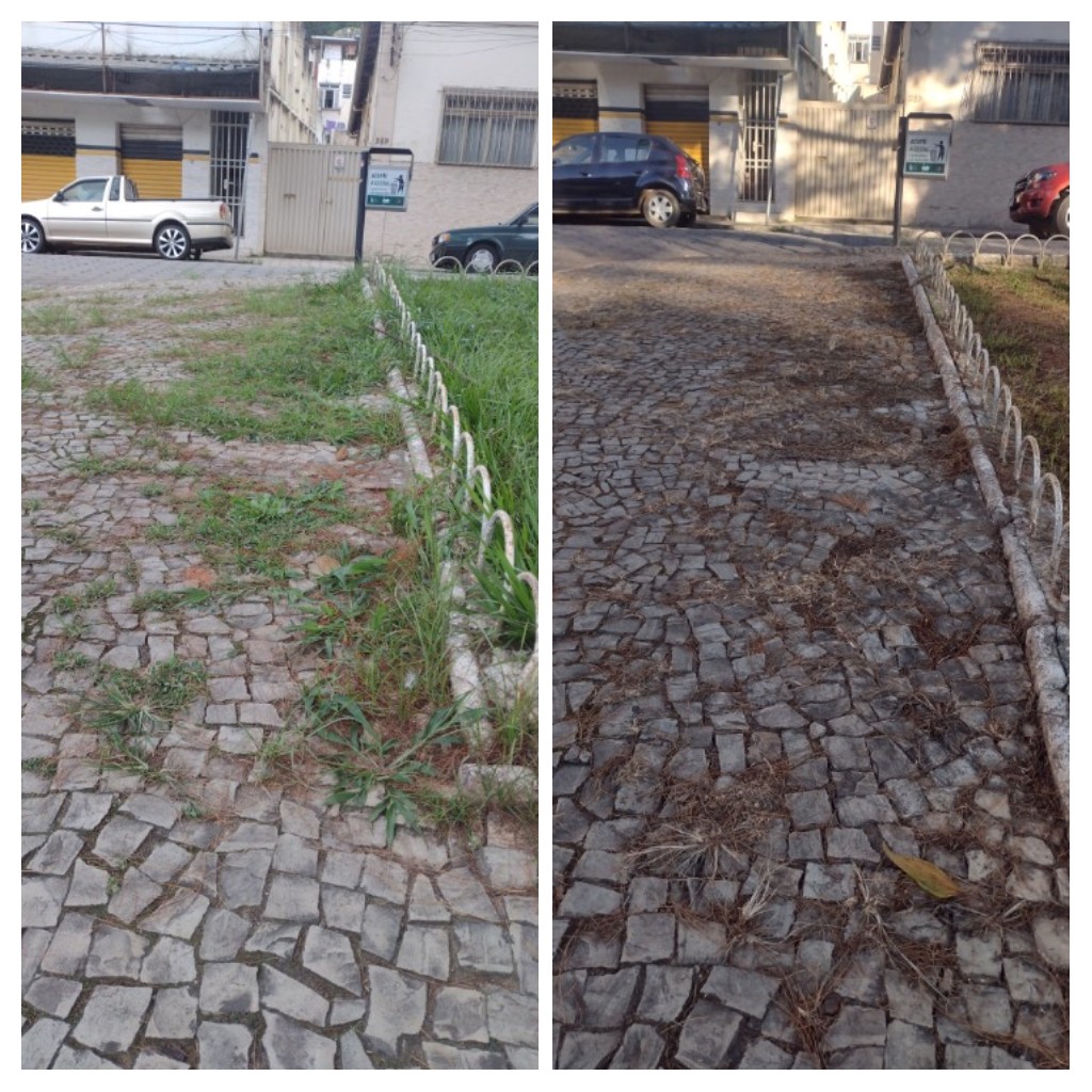 Minas Capina Urbana 7 Viçosa/MG - Fevereiro 2022 (Jardins Serviços)