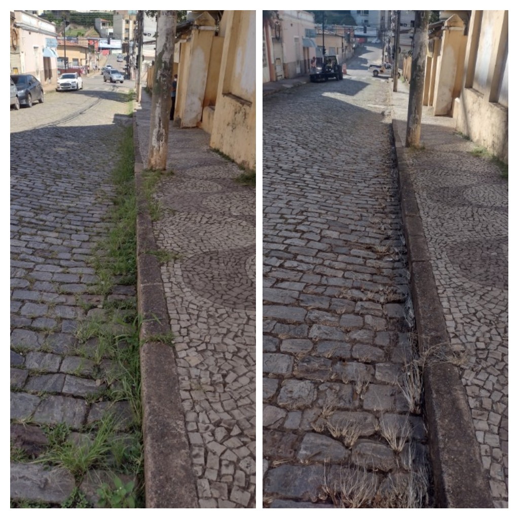 Minas Capina Urbana 8 Viçosa/MG - Fevereiro 2022 (Jardins Serviços)