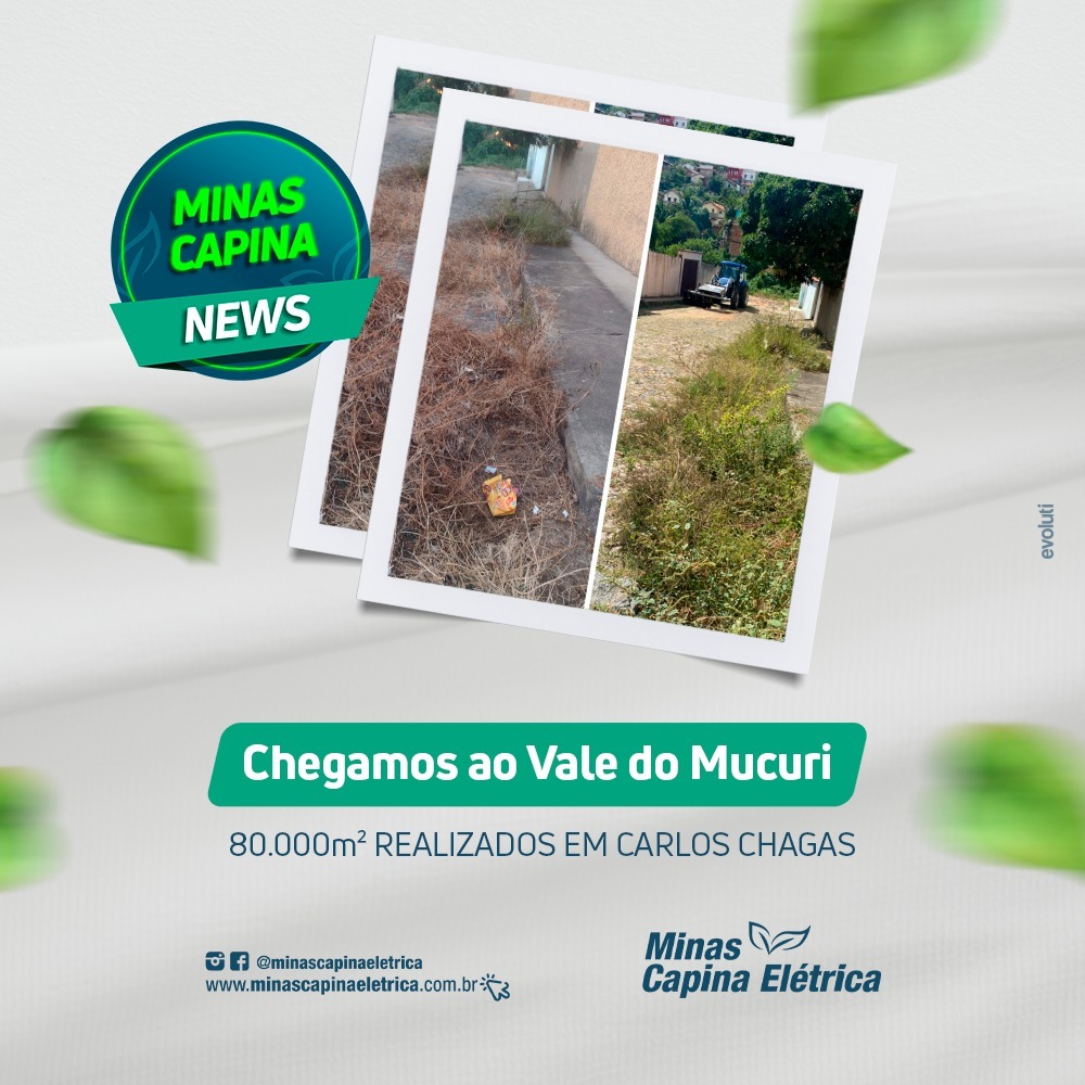 Leia mais sobre o artigo Chegamos ao Vale do Mucuri